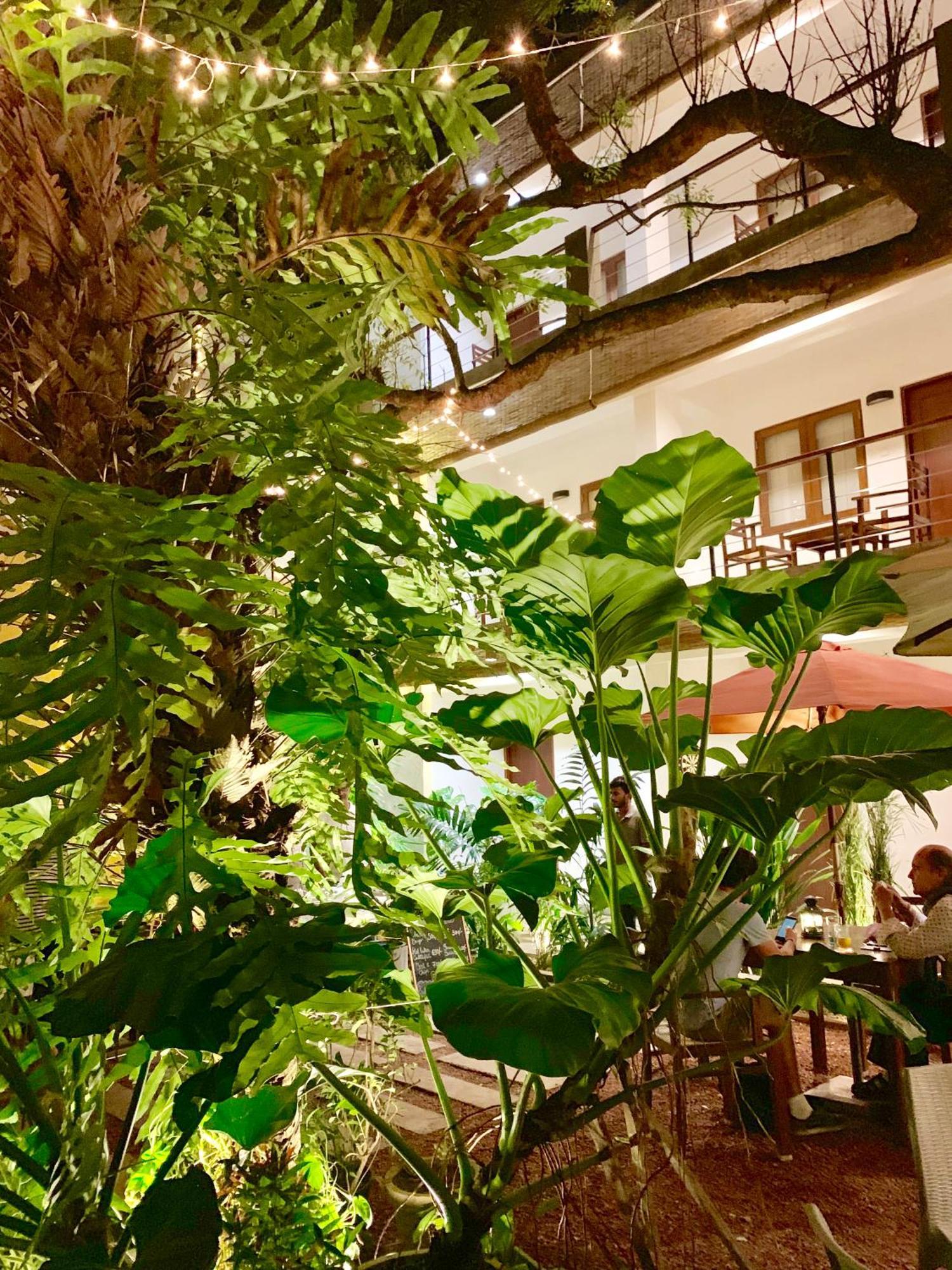Sayura House Hotel Colombo Exterior photo